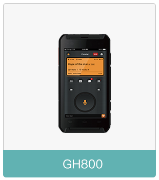 GH800