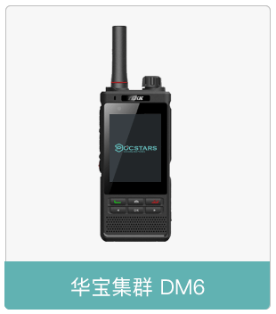 华宝集群DM6